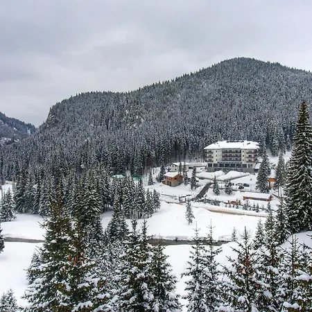 Belmont & 4* Синая